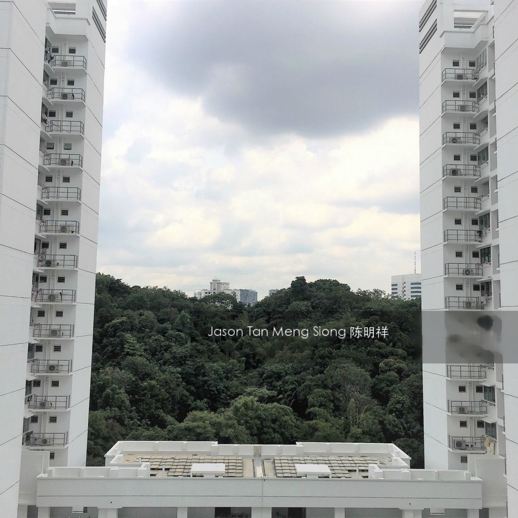 Blk 70C Telok Blangah Heights (Bukit Merah), HDB 4 Rooms #138148492